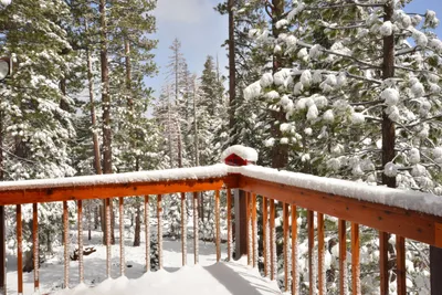 DSC_6660 (Large).JPG